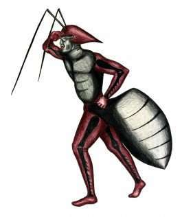  Simon Lima Holdsworth