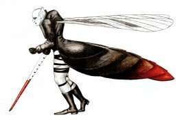  Simon Lima Holdsworth